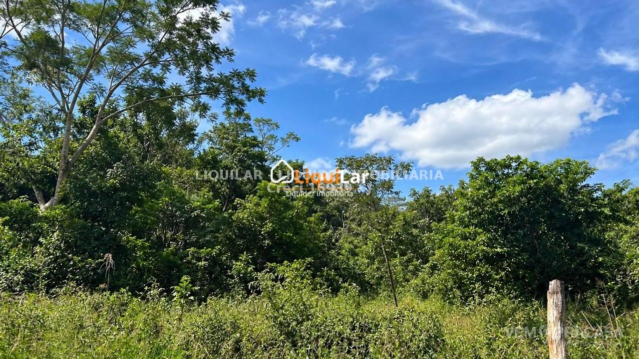 Chácara à venda no Zona Rural, Miranda – foto 2
