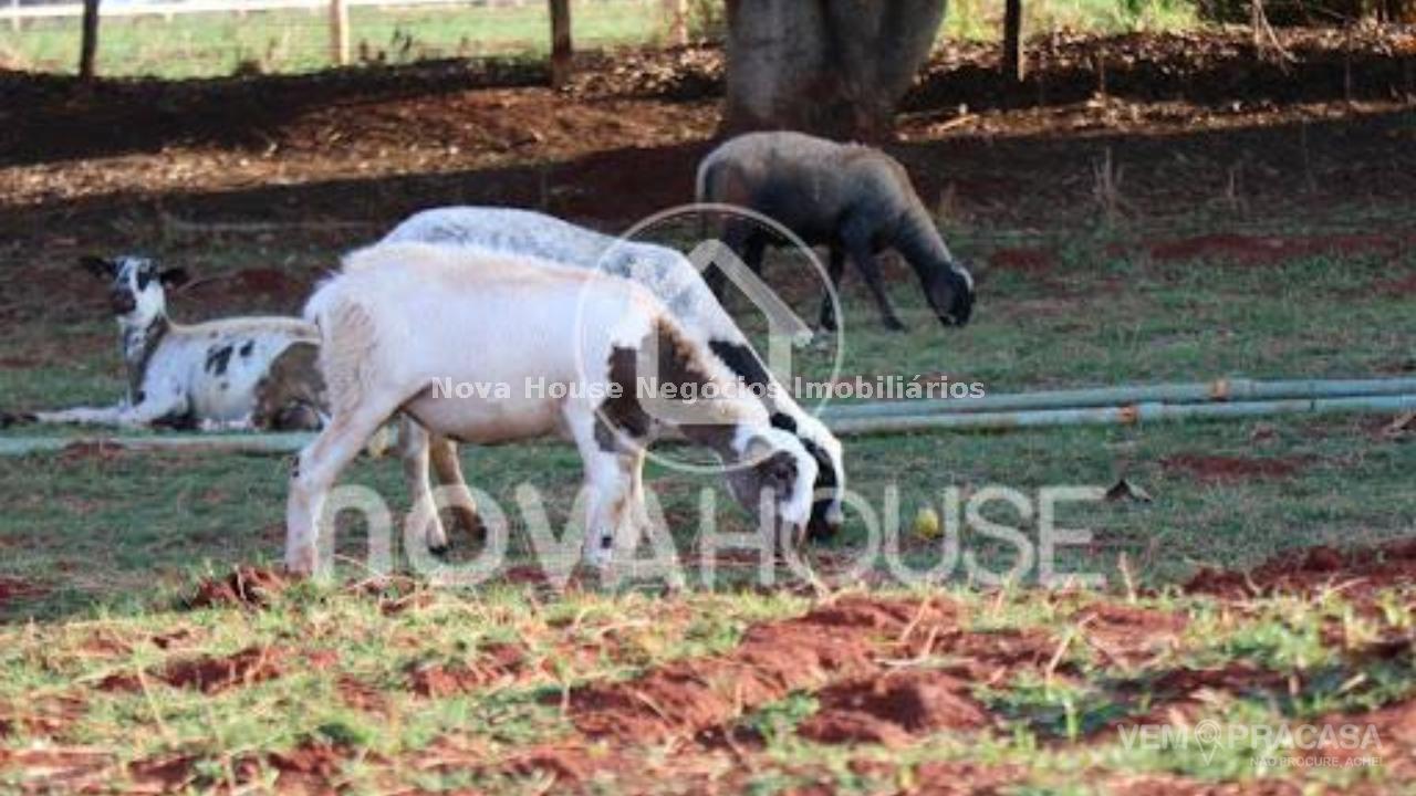 Chácara à venda no Área Rural de Campo Grande, Campo Grande – foto 30