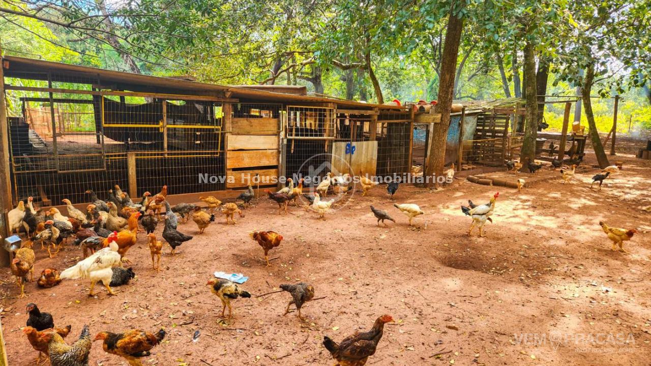 Chácara à venda no Jardim Santa Felicidade, Campo Grande – foto 31