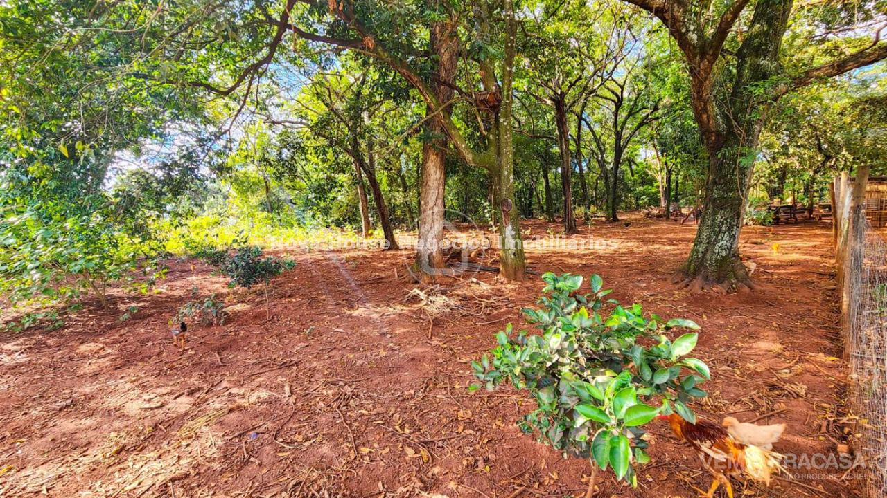 Chácara à venda no Jardim Santa Felicidade, Campo Grande – foto 33