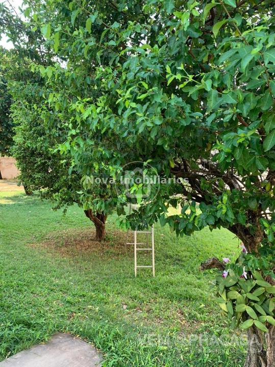 Terreno à venda na Vila Antônio Vendas, Campo Grande – foto 7