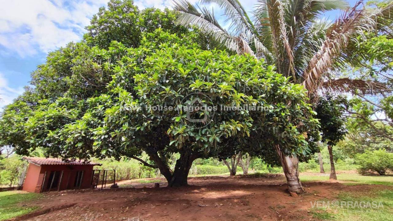 Chácara à venda no Jardim Veraneio, Campo Grande – foto 13