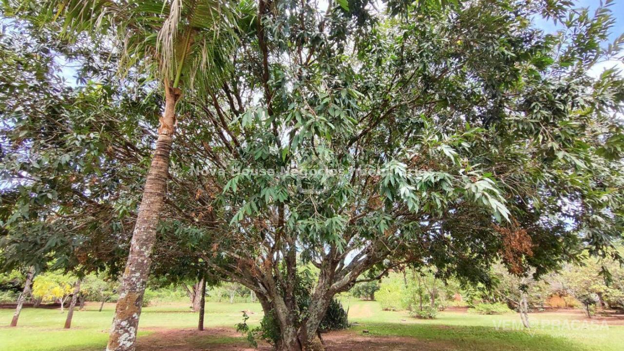 Chácara à venda no Jardim Veraneio, Campo Grande – foto 27