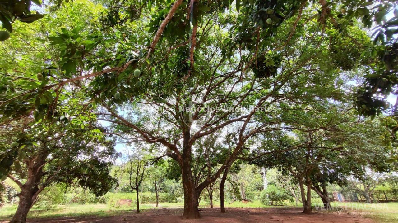 Chácara à venda no Jardim Veraneio, Campo Grande – foto 35
