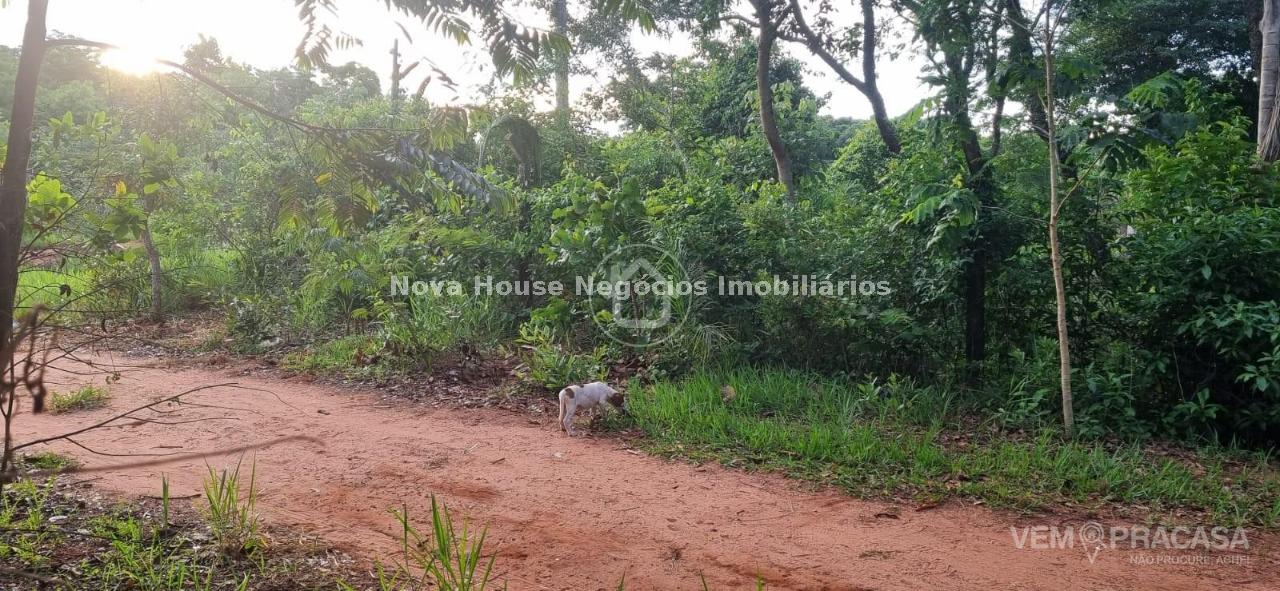 Terreno à venda no Jardim Veraneio, Campo Grande – foto 8