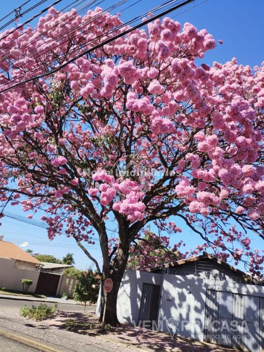 Casa Térrea à venda no Tiradentes, Campo Grande – foto 1