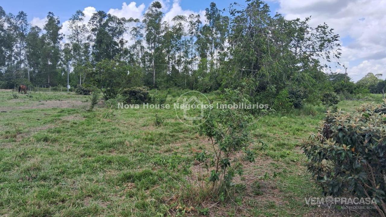 Chácara à venda no Área Rural de Campo Grande, Campo Grande – foto 12