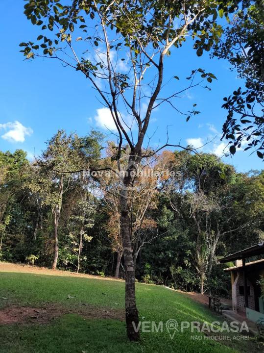 Chácara à venda na Chácara dos Poderes, Campo Grande – foto 74