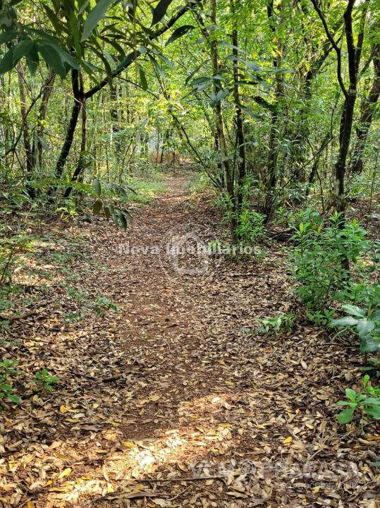 Chácara à venda na Chácara dos Poderes, Campo Grande – foto 78