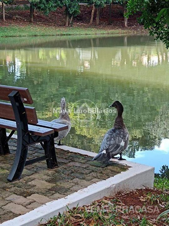 Sobrado à venda na Vila Nossa Senhora das Graças, Campo Grande – foto 76