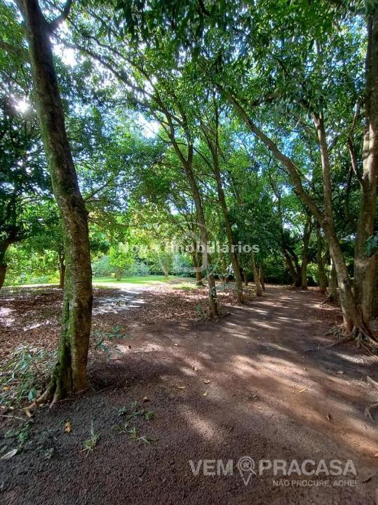 Sobrado à venda na Vila Nossa Senhora das Graças, Campo Grande – foto 83