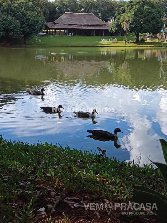Sobrado à venda na Vila Nossa Senhora das Graças, Campo Grande – foto 95