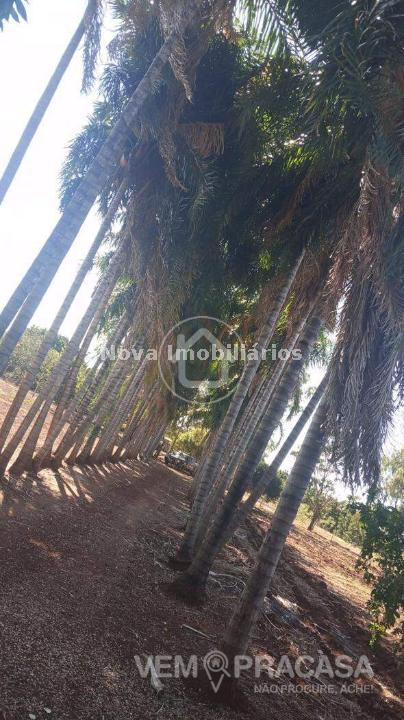Chácara à venda na Chácara das Mansões, Campo Grande – foto 4