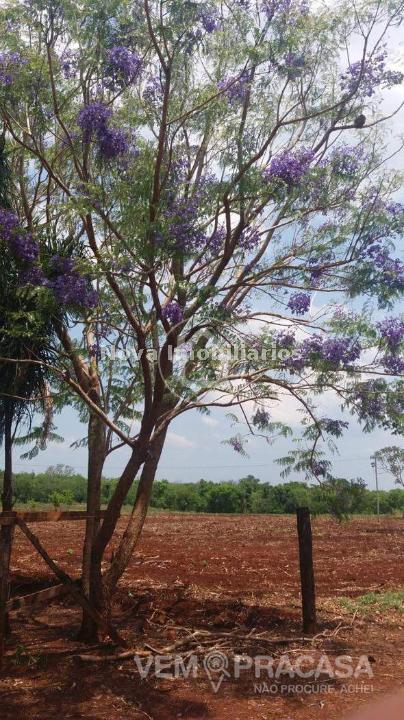 Chácara à venda na Chácara das Mansões, Campo Grande – foto 5