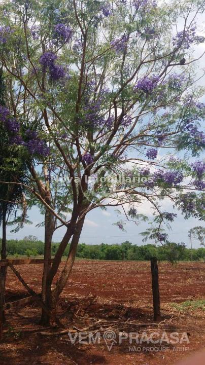 Chácara à venda na Chácara das Mansões, Campo Grande – foto 6