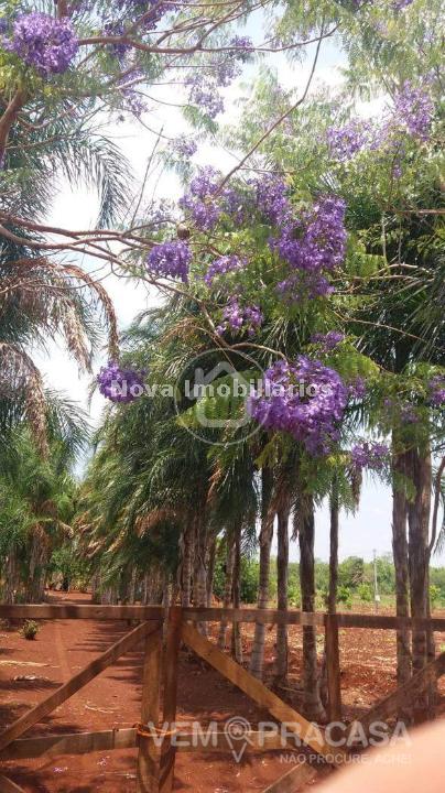 Chácara à venda na Chácara das Mansões, Campo Grande – foto 7