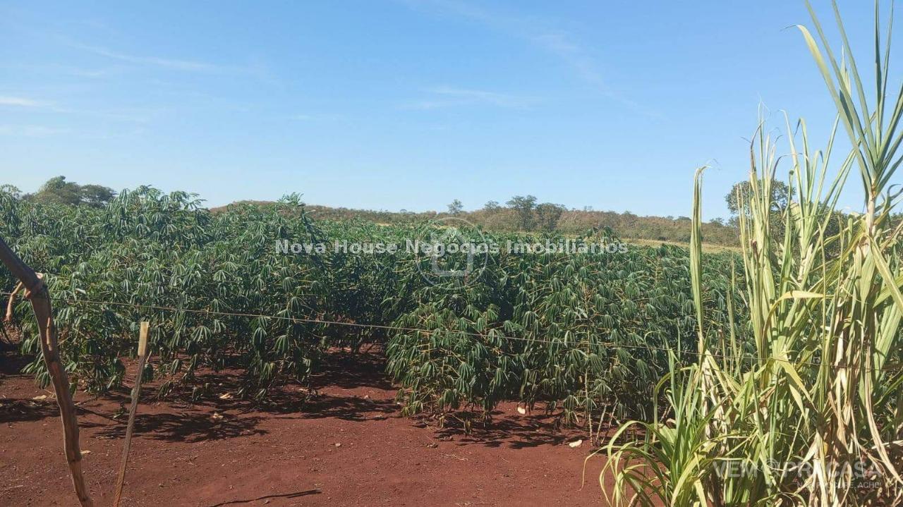 Chácara à venda na Chácara das Mansões, Campo Grande – foto 11
