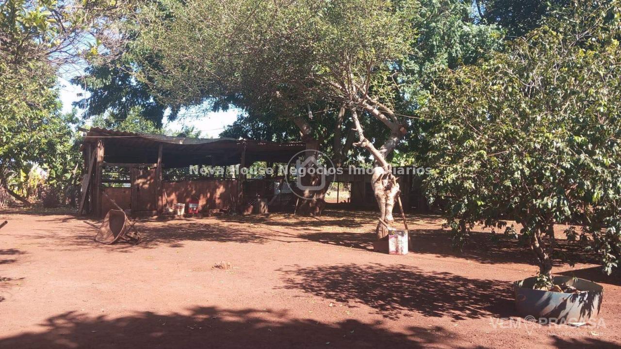 Chácara à venda na Chácara das Mansões, Campo Grande – foto 14