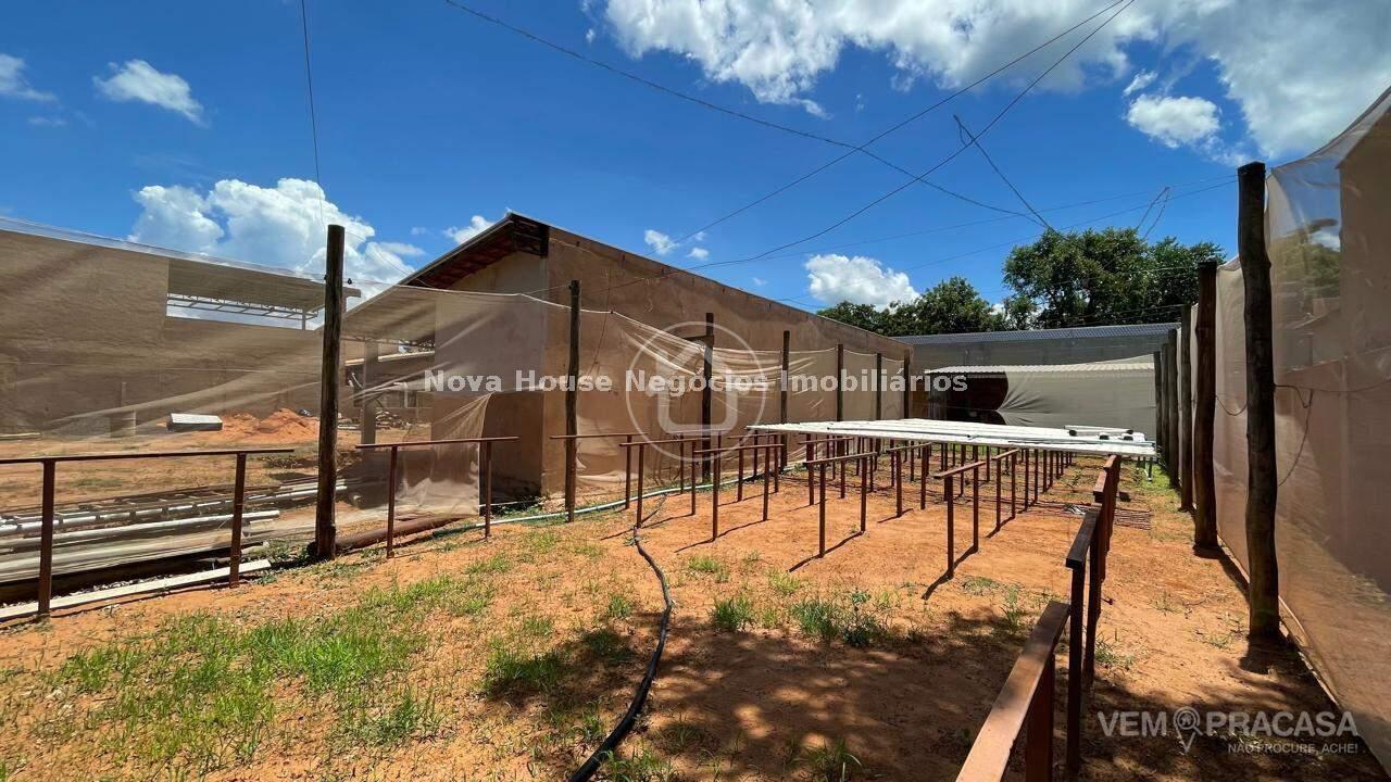 Chácara à venda na Chácara das Mansões, Campo Grande – foto 5