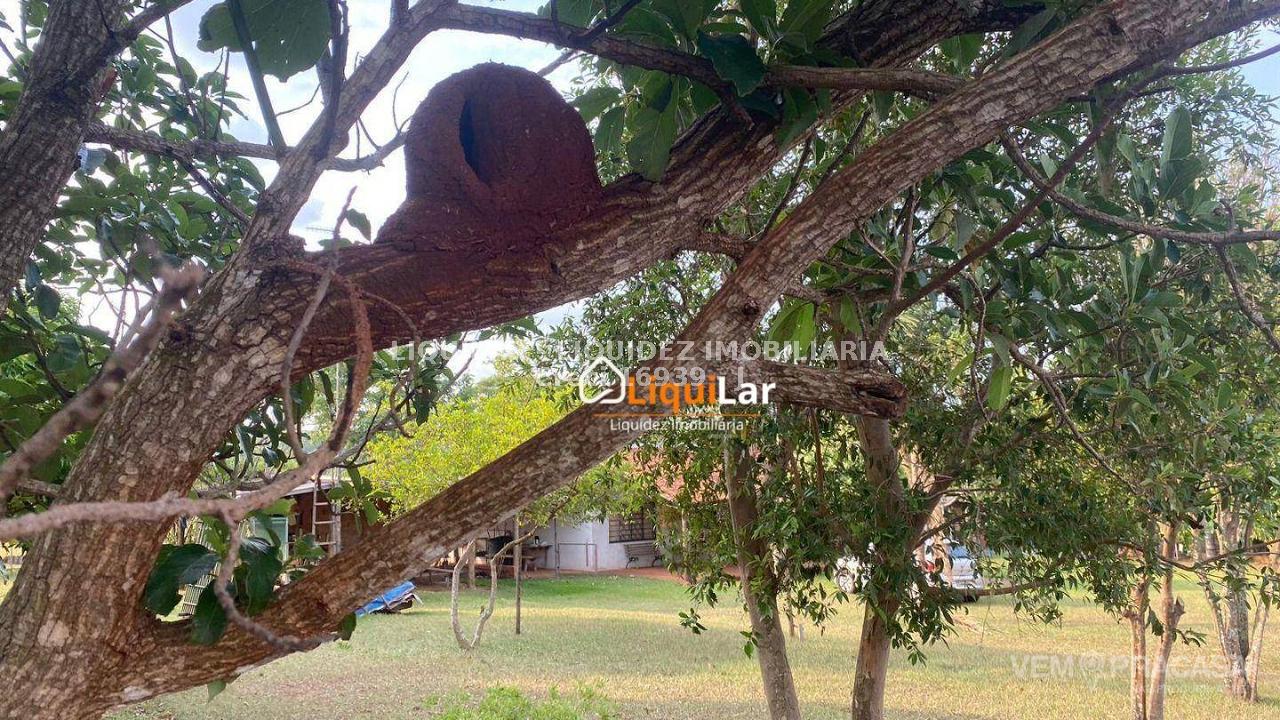 Chácara à venda na Vila Moreninha III, Campo Grande – foto 20