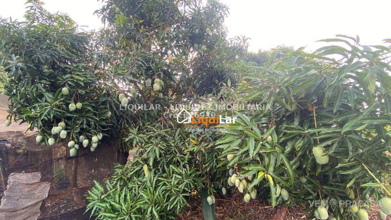 Chácara à venda na Vila Moreninha III, Campo Grande – foto 50
