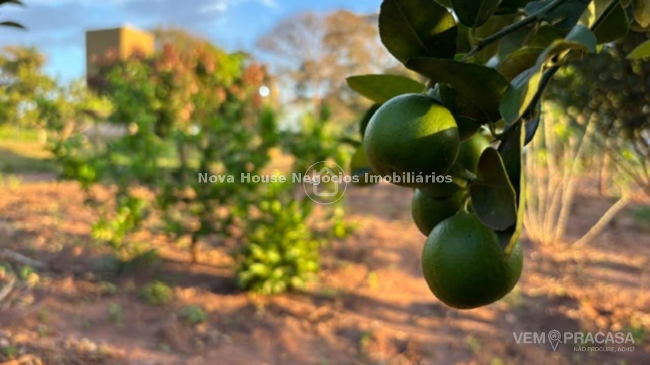 Chácara à venda no Área Rural de Campo Grande, Campo Grande – foto 17