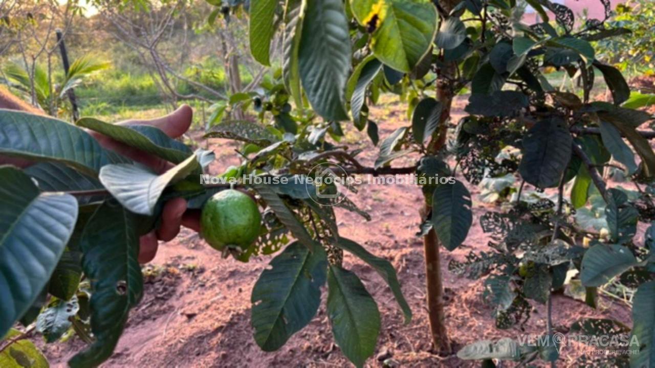Chácara à venda no Área Rural de Campo Grande, Campo Grande – foto 18