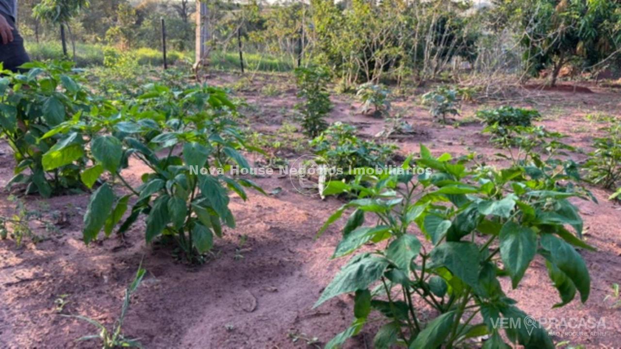Chácara à venda no Área Rural de Campo Grande, Campo Grande – foto 19