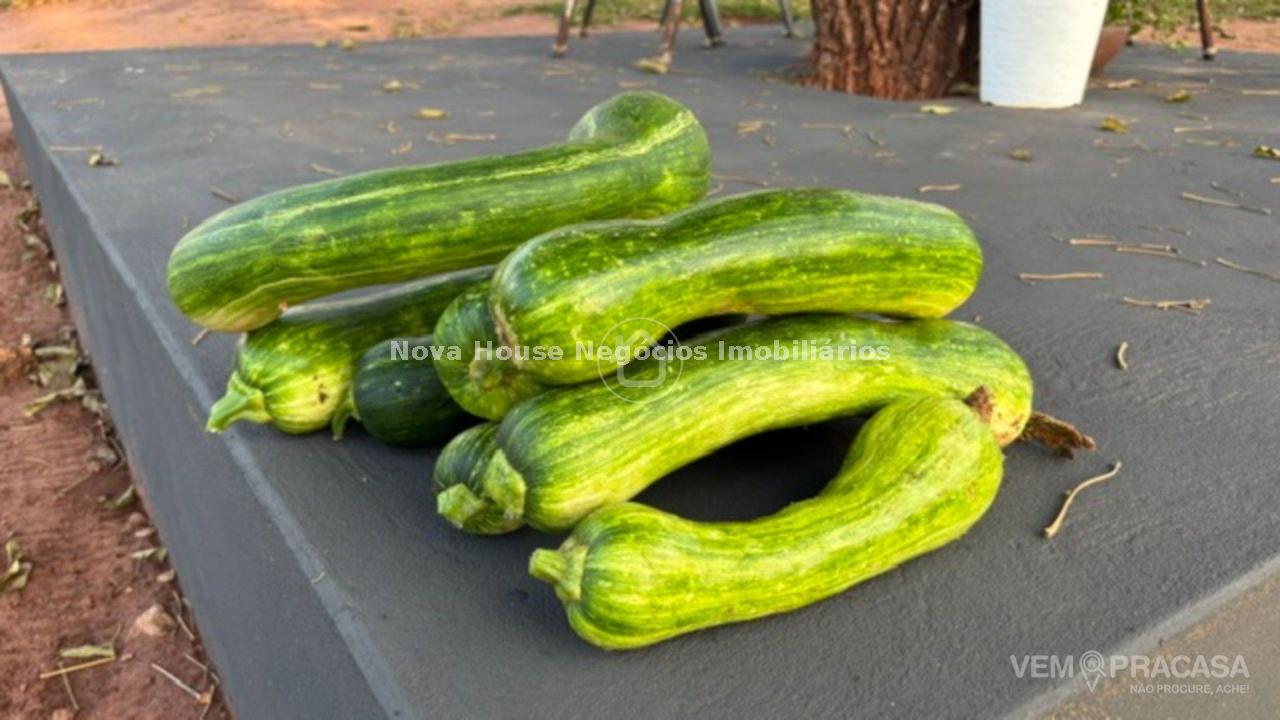 Chácara à venda no Área Rural de Campo Grande, Campo Grande – foto 20