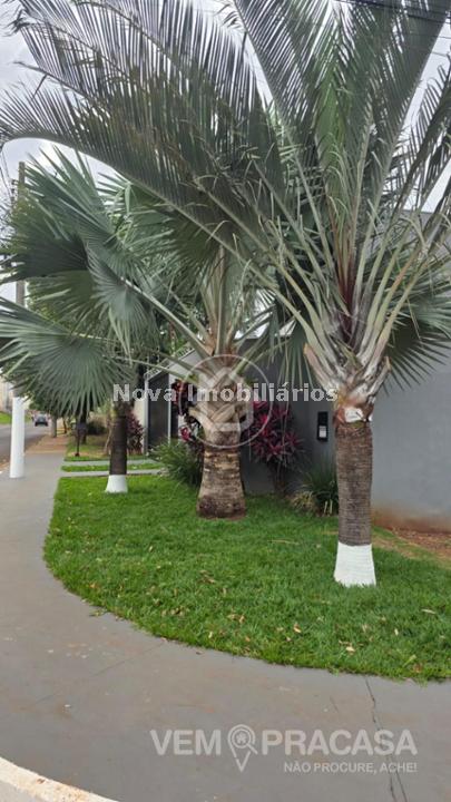Casa Térrea à venda na Vila Carlota, Campo Grande – foto 40