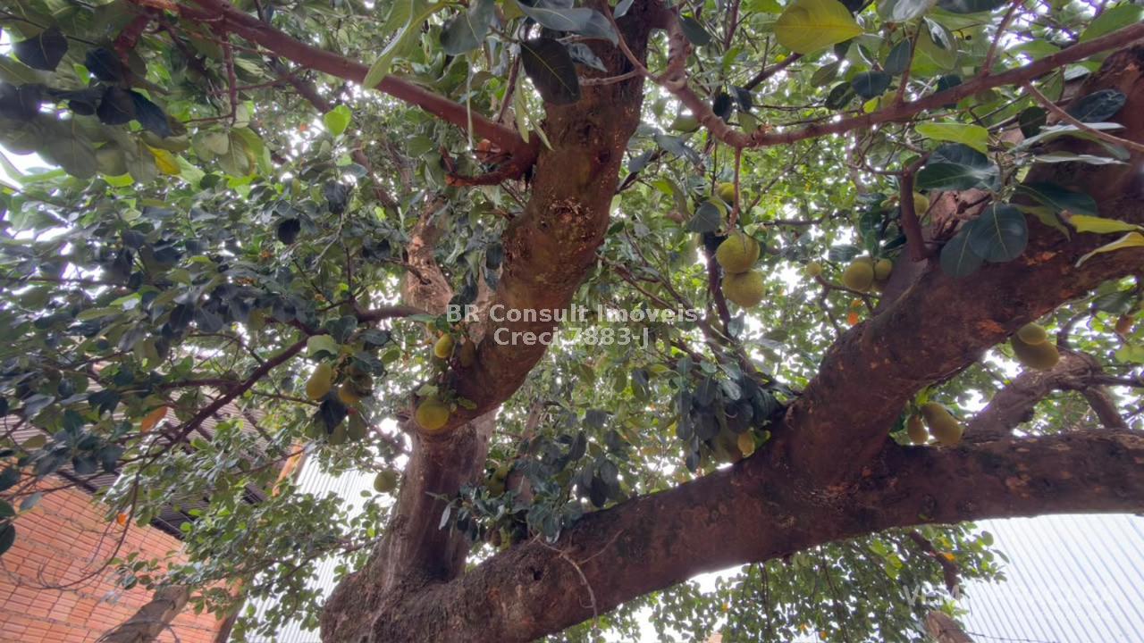 Terreno à venda na Vila Progresso, Campo Grande – foto 6