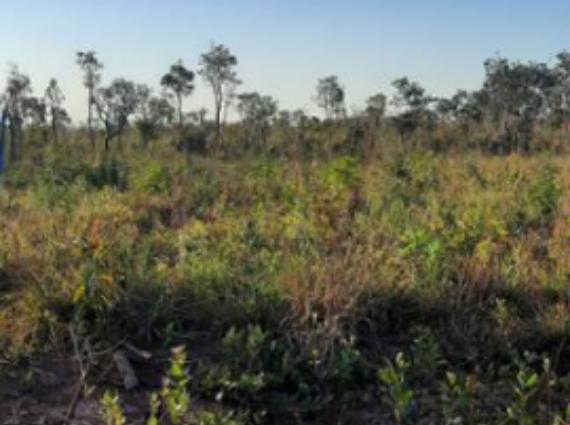 Terreno à venda no Área Rural de Campo Grande, Campo Grande