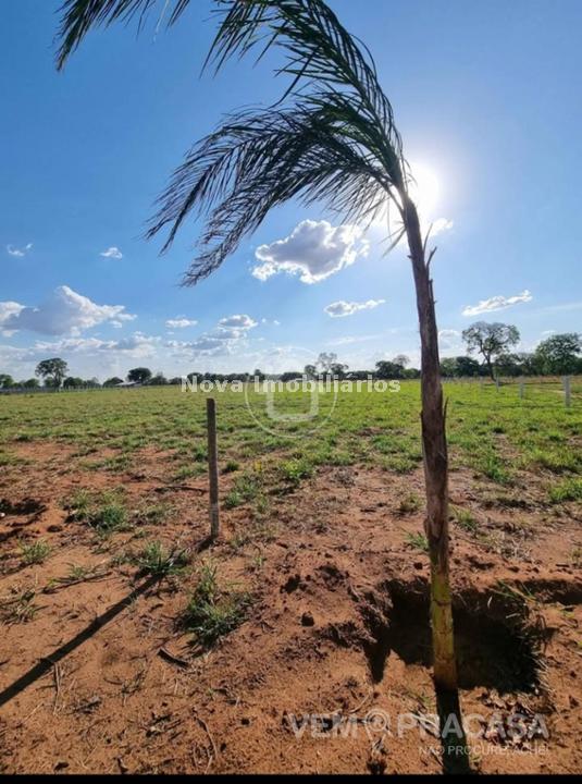 Chácara à venda no Área Rural de Campo Grande, Campo Grande – foto 7