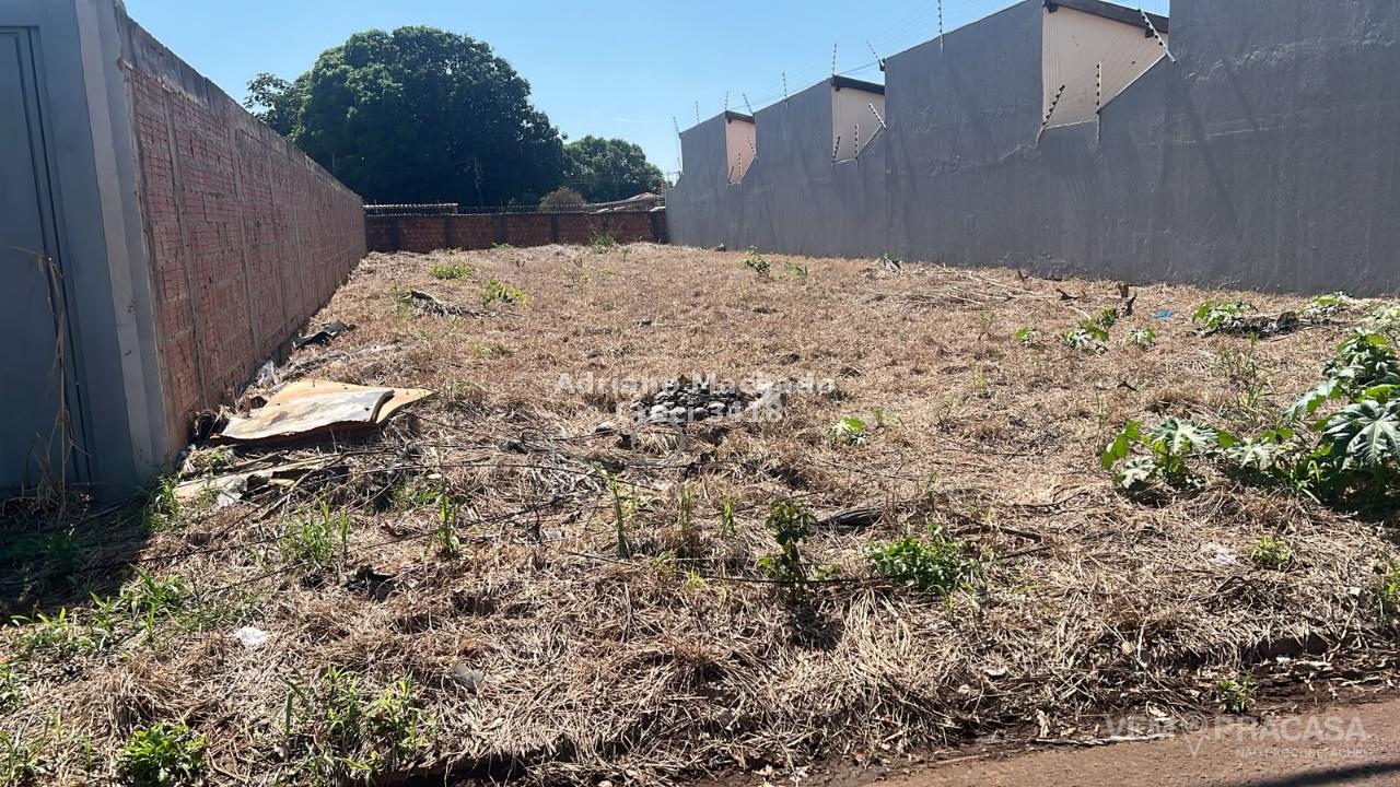 Terreno à venda na Vila Vilas Boas, Campo Grande – foto 2