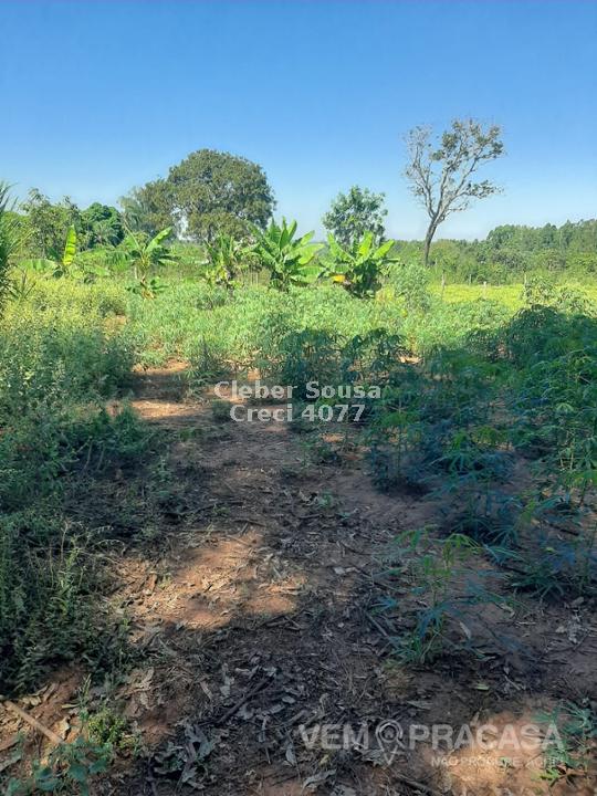 Chácara à venda no Zona Rural, Jaraguari – foto 19