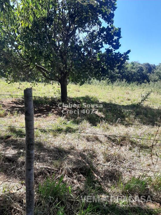 Chácara à venda no Zona Rural, Jaraguari – foto 20