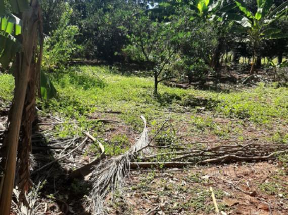 Chácara à venda no Zona Rural, Jaraguari
