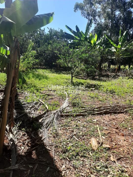 Chácara à venda no Zona Rural, Jaraguari – foto 1