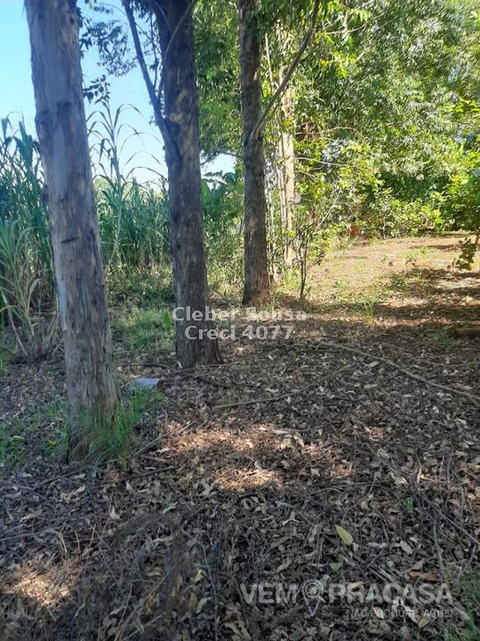 Chácara à venda no Zona Rural, Jaraguari – foto 21