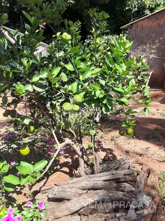 Chácara à venda no Zona Rural, Jaraguari – foto 23