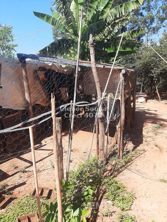 Chácara à venda no Zona Rural, Jaraguari – foto 12