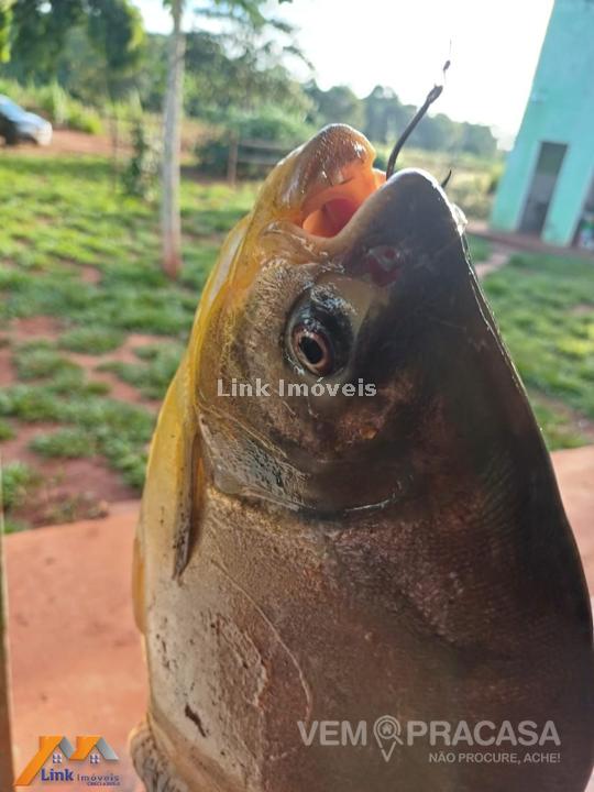 Chácara à venda no Centro, Rochedo – foto 6