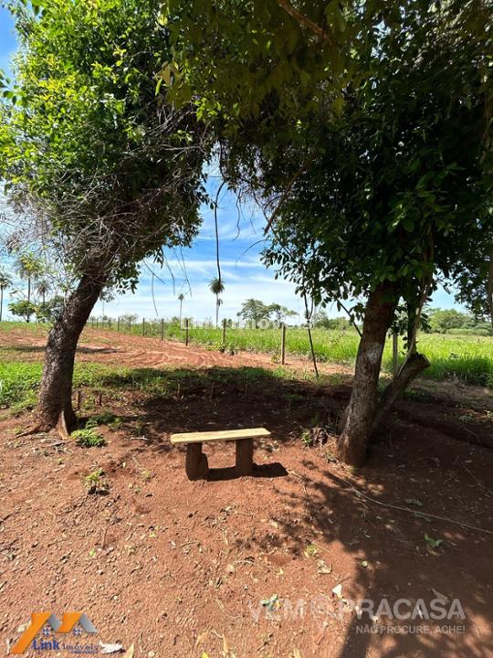Chácara à venda no Centro, Rochedo – foto 8