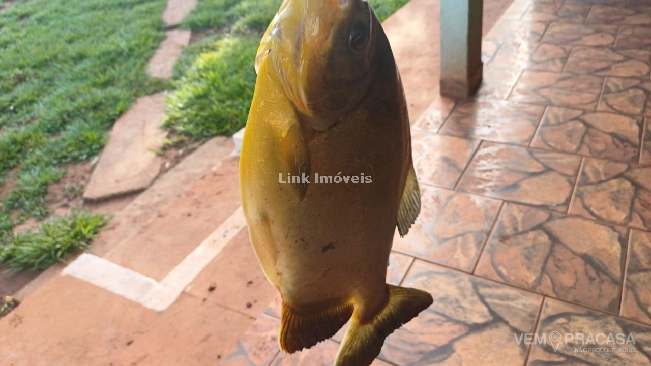 Chácara à venda no Centro, Rochedo – foto 10
