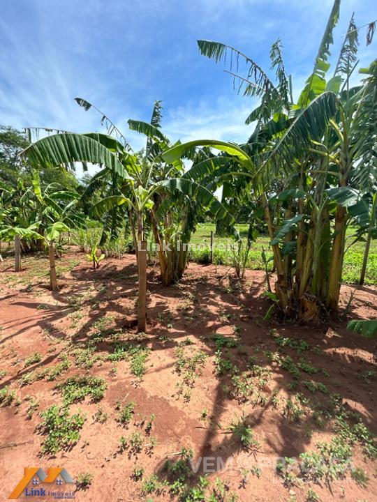 Chácara à venda no Centro, Rochedo – foto 29