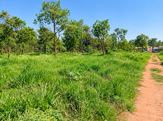 Terreno à venda no Jardim Noroeste, Campo Grande