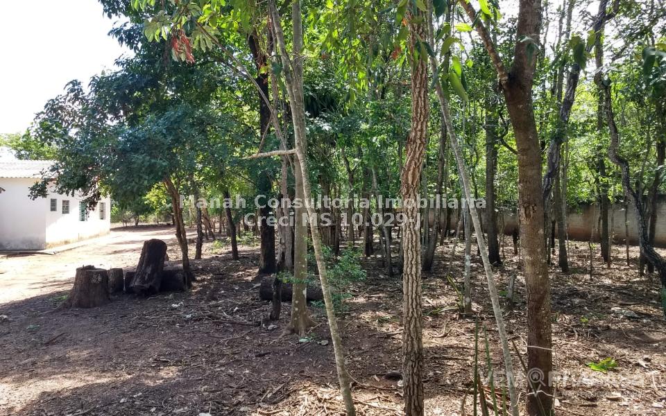 Chácara à venda na Chácara dos Poderes, Campo Grande – foto 29