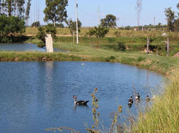 Chácara à venda no Zona Rural, Rio Verde de Mato Grosso