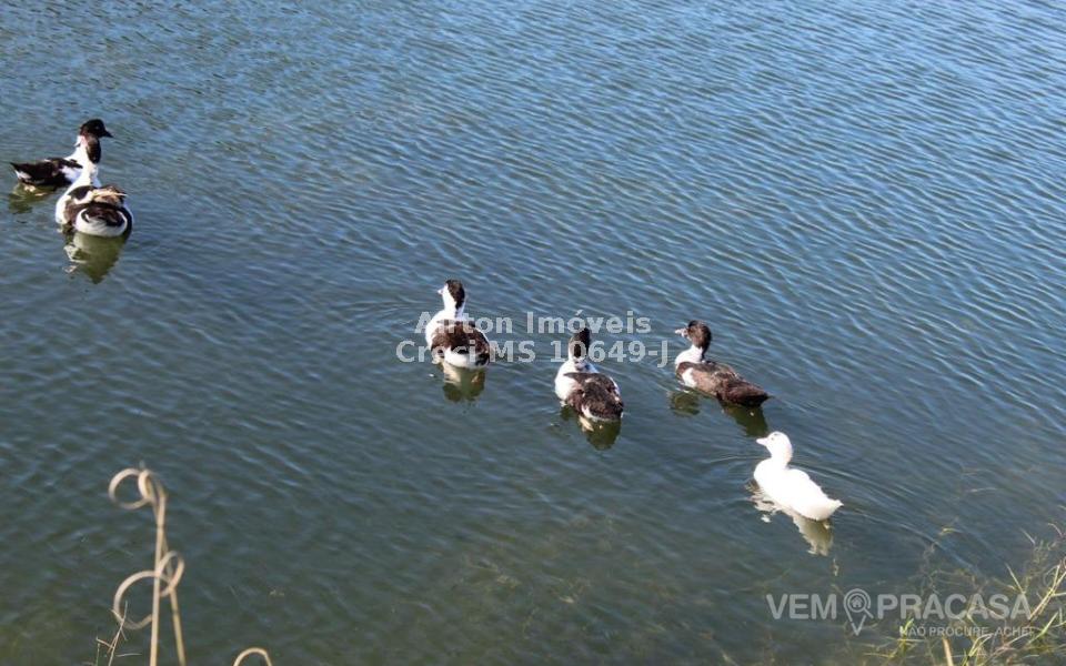 Chácara à venda no Zona Rural, Rio Verde de Mato Grosso – foto 4